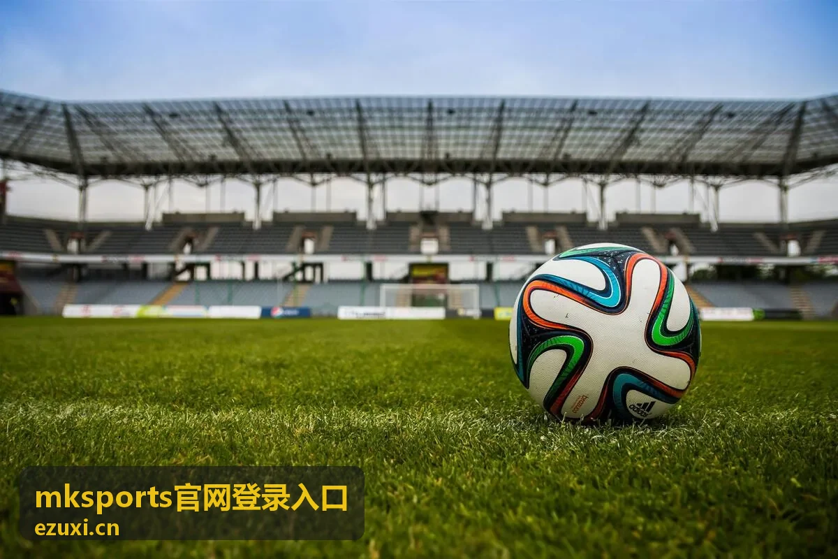 mksports官网登录入口 国际邀请赛预选轮封面