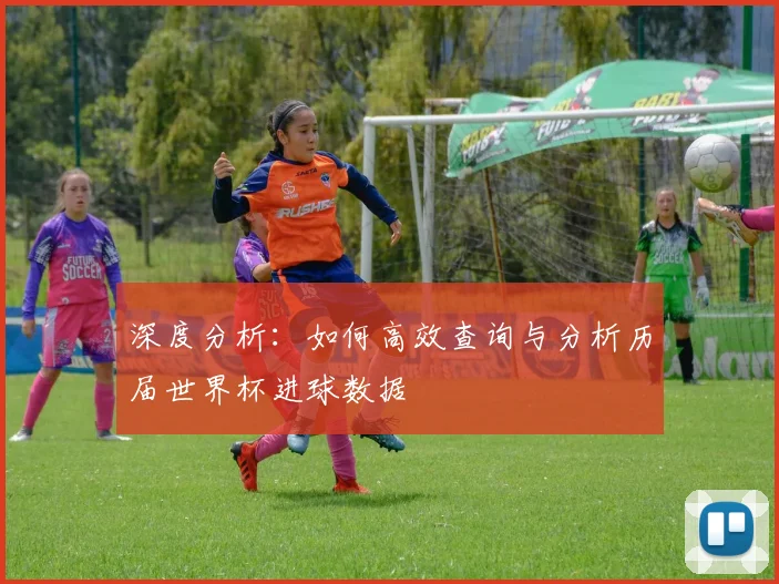 深度分析：如何高效查询与分析历届世界杯进球数据
